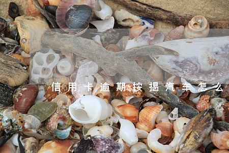 信用卡逾期按揭汽车怎么办 信用卡逾期按揭汽车怎么办