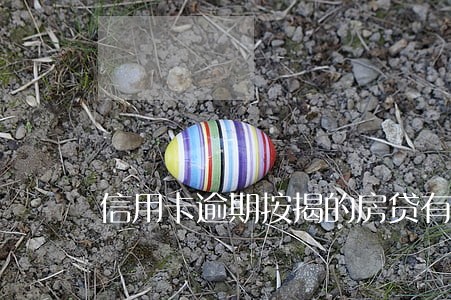 信用卡逾期按揭的房贷有影响吗 信用卡逾期按揭的房贷有影响吗