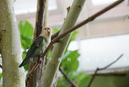 信用卡逾期按揭贷款买房 信用卡逾期按揭贷款买房