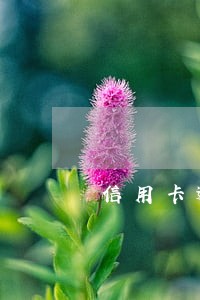 信用卡逾期按日利息计算
