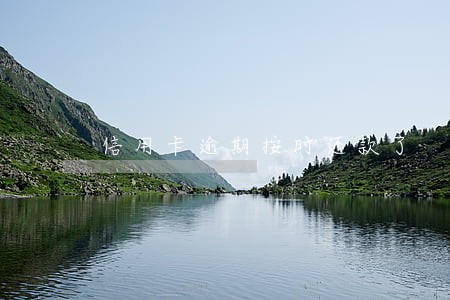 信用卡逾期按时还款了 信用卡逾期按时还款了