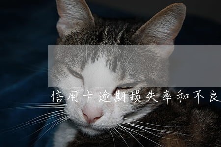 信用卡逾期损失率和不良率 信用卡逾期损失率和不良率