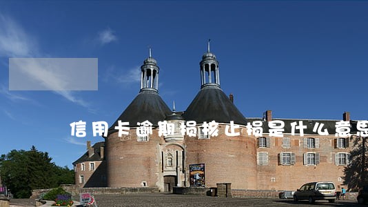 信用卡逾期损核止损是什么意思 信用卡逾期损核止损是什么意思