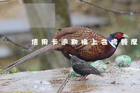 信用卡逾期换上会降额度吗 信用卡逾期换上会降额度吗