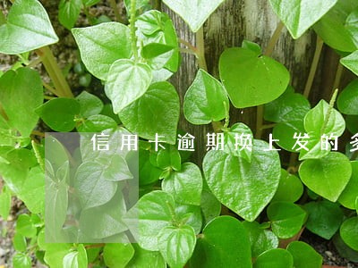 信用卡逾期换上发的多久 信用卡逾期换上发的多久