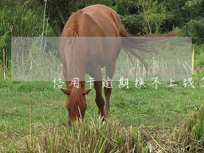 信用卡逾期换不上钱怎么办 信用卡逾期换不上钱怎么办