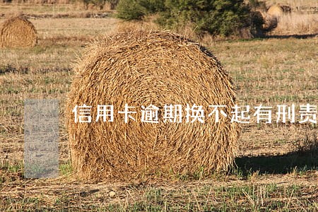 信用卡逾期换不起有刑责 信用卡逾期换不起有刑责