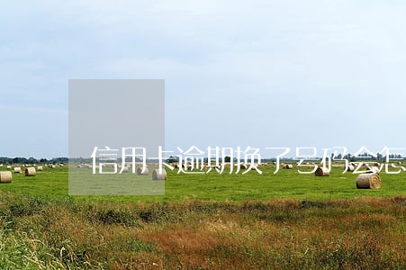 信用卡逾期换了号码会怎样