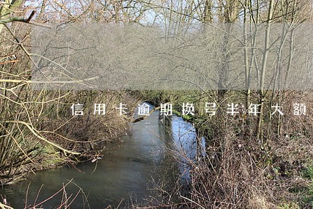 信用卡逾期换号半年大额度 信用卡逾期换号半年大额度
