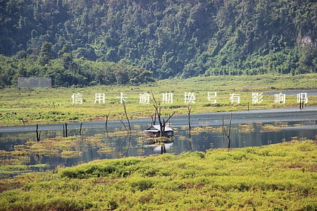 信用卡逾期换号有影响吗 信用卡逾期换号有影响吗