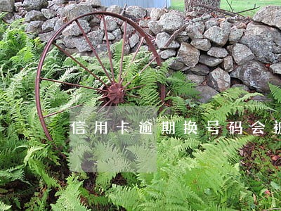 信用卡逾期换号码会被起诉吗 信用卡逾期换号码会被起诉吗