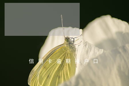信用卡逾期换户口 信用卡逾期换户口