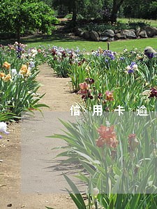 信用卡逾期换新公司能找到吗 信用卡逾期换新公司能找到吗