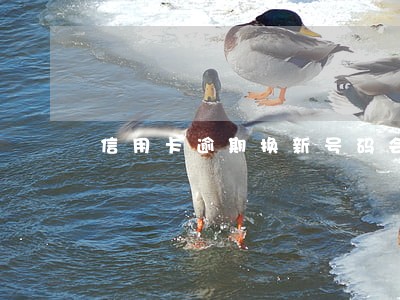 信用卡逾期换新号码会打通讯录吗