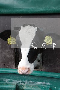 信用卡逾期换新工作还是能找到