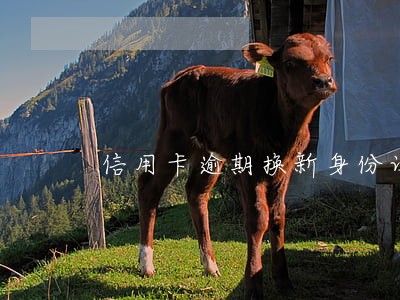 信用卡逾期换新身份证有影响吗 信用卡逾期换新身份证有影响吗