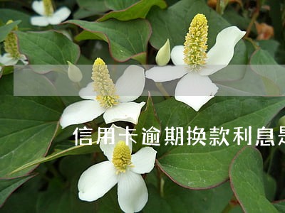 信用卡逾期换款利息是多少钱