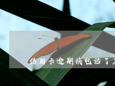 信用卡逾期换电话了怎么办