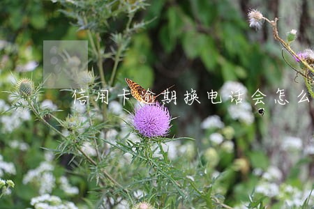 信用卡逾期换电话会怎么样