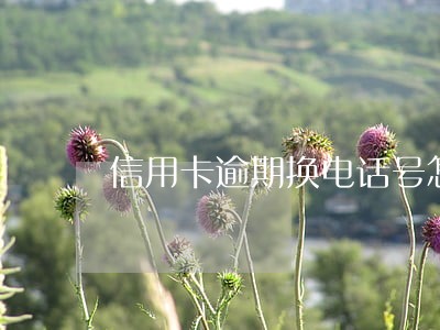 信用卡逾期换电话号怎么办 信用卡逾期换电话号怎么办
