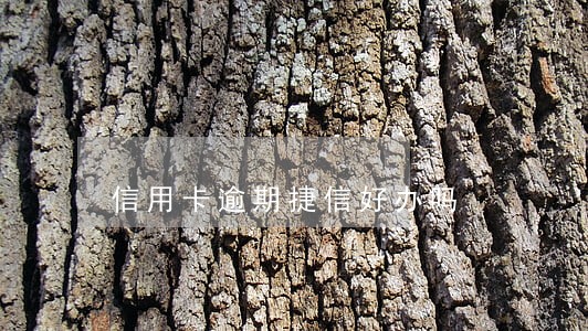 信用卡逾期捷信好办吗 信用卡逾期捷信好办吗