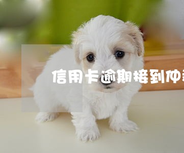 信用卡逾期接到仲裁电话
