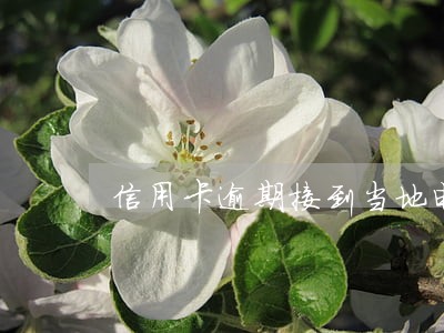信用卡逾期接到当地电话 信用卡逾期接到当地电话