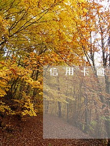 信用卡逾期接到批捕电话怎么办 信用卡逾期接到批捕电话怎么办
