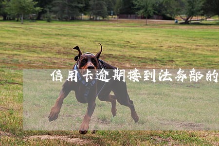 信用卡逾期接到法务部的电话 信用卡逾期接到法务部的电话