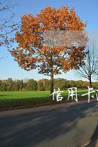 信用卡逾期接到电话说是公安局