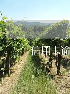 信用卡逾期接到经侦队电话