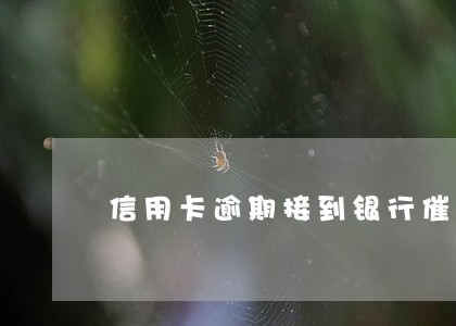 信用卡逾期接到银行催收电话 信用卡逾期接到银行催收电话