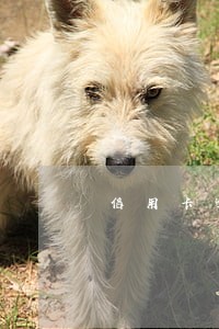 信用卡逾期接到银行通知提醒
