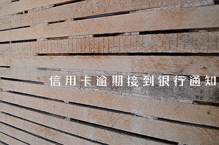 信用卡逾期接到银行通知电话