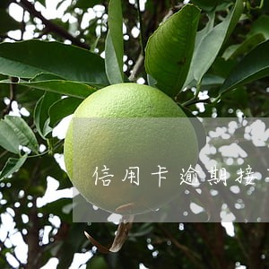 信用卡逾期接单银行说报案 信用卡逾期接单银行说报案