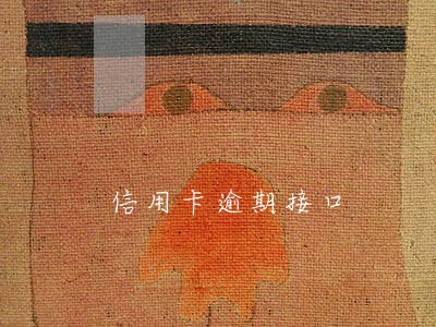 信用卡逾期接口