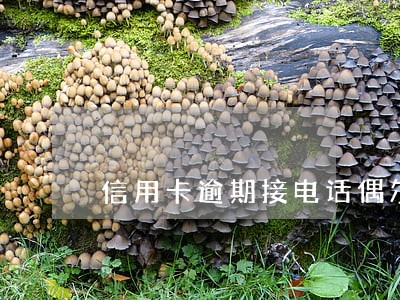 信用卡逾期接电话偶尔不接