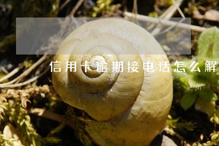 信用卡逾期接电话怎么解答