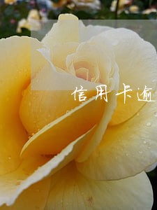 信用卡逾期接电话说我被立案了