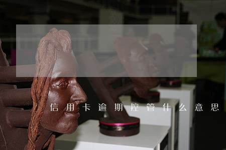 信用卡逾期控管什么意思 信用卡逾期控管什么意思