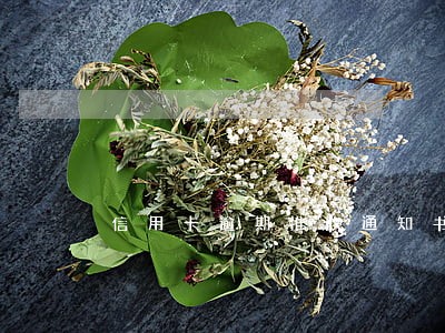 信用卡逾期推收通知书