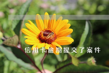 信用卡逾期提交了案件 信用卡逾期提交了案件
