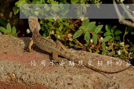 信用卡逾期提交材料的后续过程 信用卡逾期提交材料的后续过程
