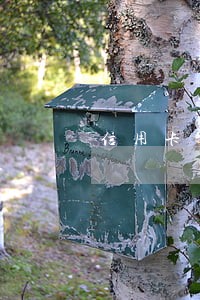 信用卡逾期提交案件的属于什么 信用卡逾期提交案件的属于什么