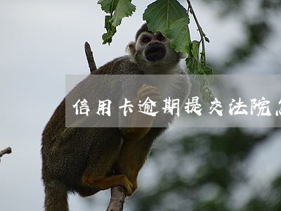 信用卡逾期提交法院怎么办 信用卡逾期提交法院怎么办