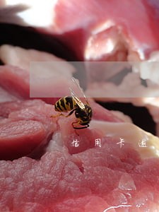 信用卡逾期提交相关部门 信用卡逾期提交相关部门