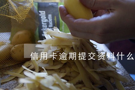 信用卡逾期提交资料什么意思