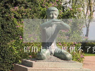 信用卡逾期提供不了贫困证明