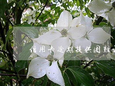 信用卡逾期提供困难证明 信用卡逾期提供困难证明