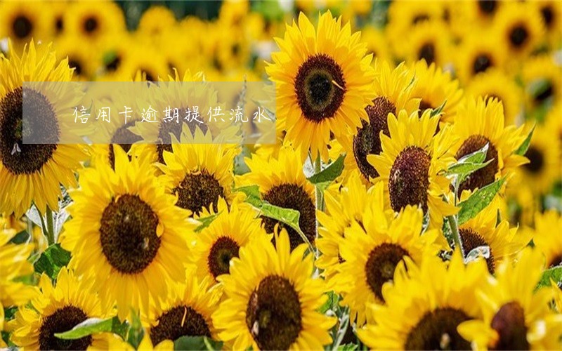 信用卡逾期提供流水 信用卡逾期提供流水